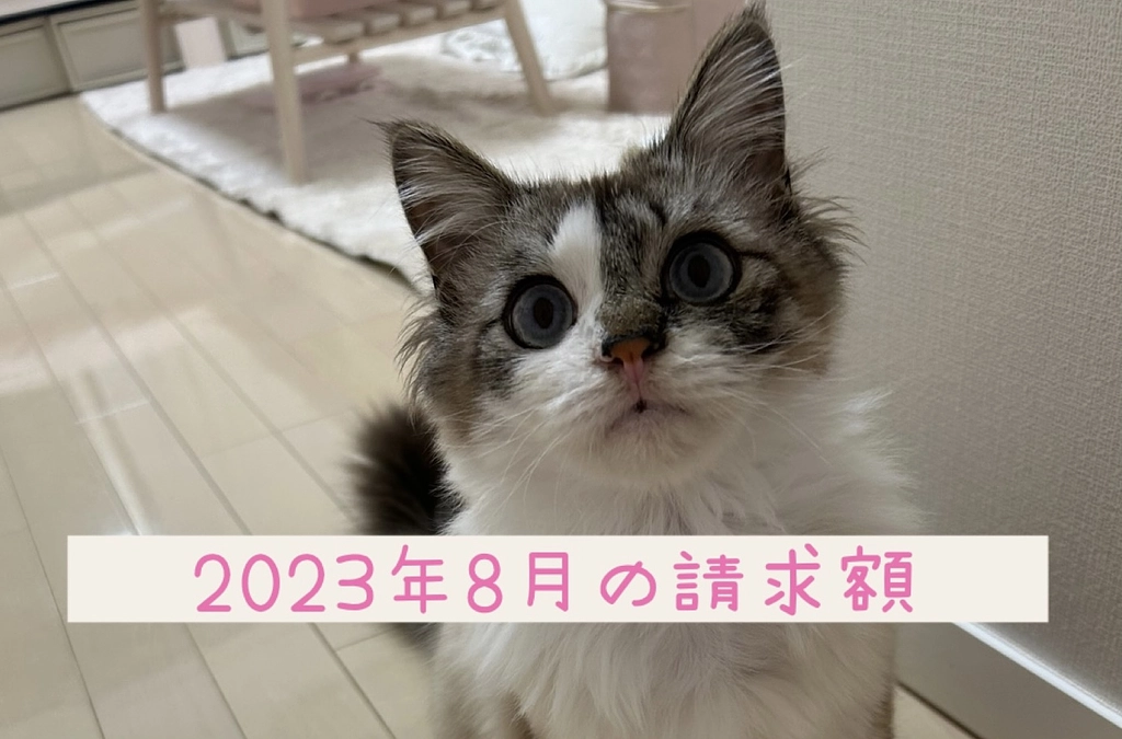 病院からの請求額　2023年8月
