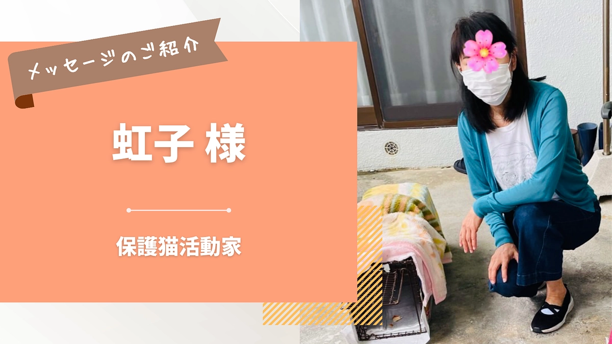 応援メッセージのご紹介｜虹子 様（保護猫活動家）