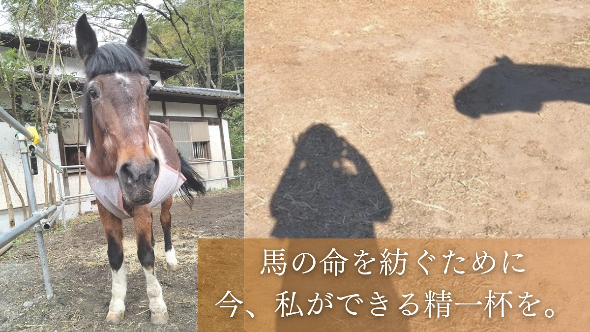 【あと3日！】今回のプロジェクトで実現したいこと、お伝えしたいこと