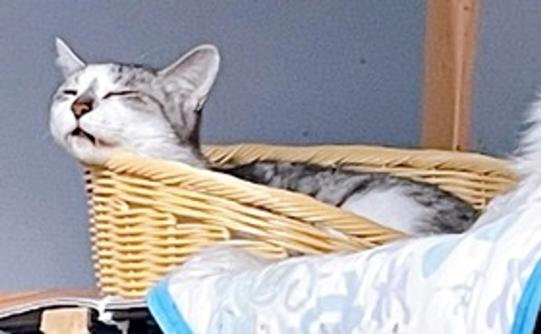 ★ 毎月応援 1000円コース