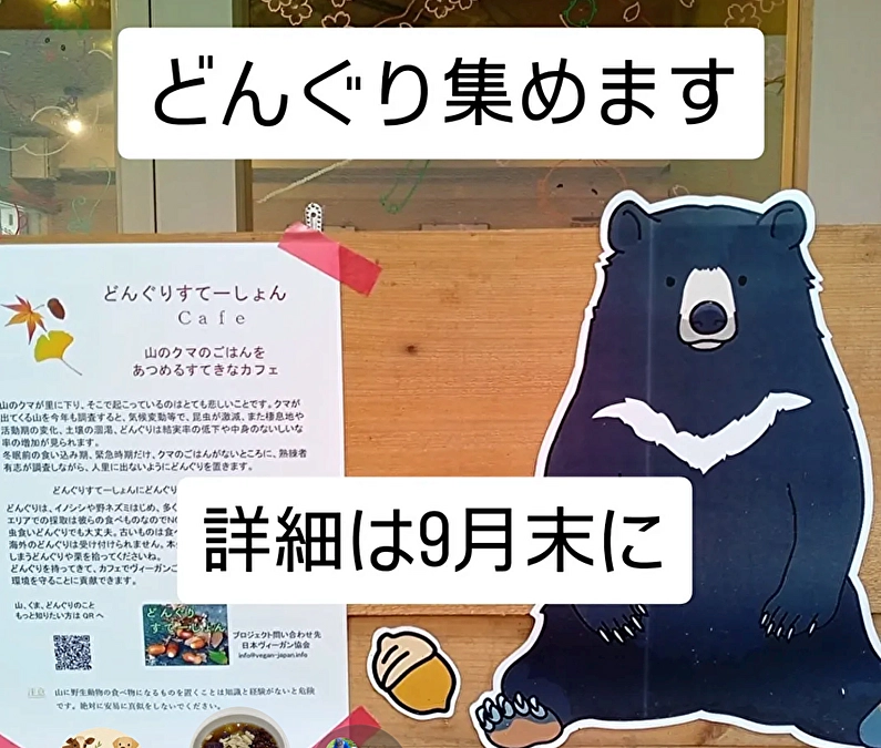 くま止めどんぐり集めます！