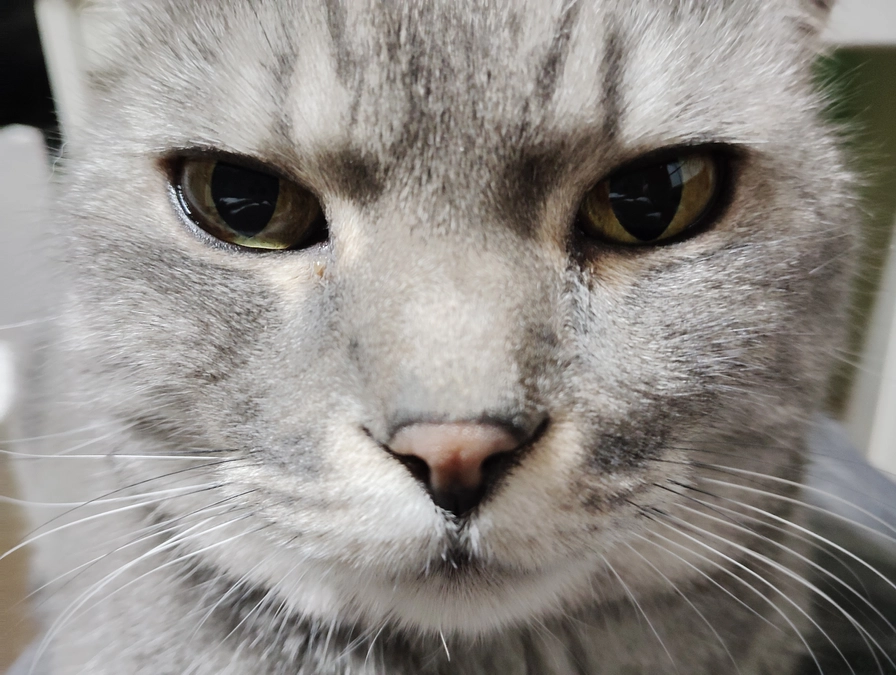 活動報告、あと2週間となりました