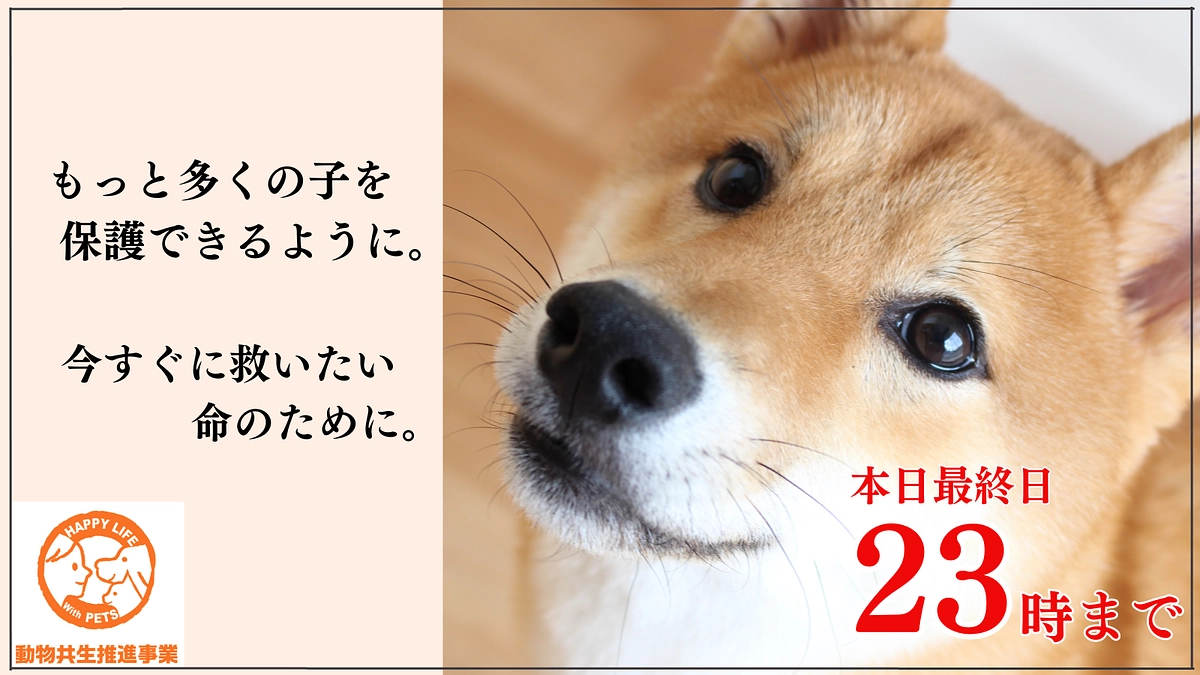 本日最終日！支援募集は23時まで！