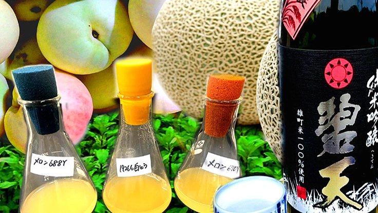 フルーツ大国岡山ならではの酒造りを。果物の野生酵母でつくる日本酒