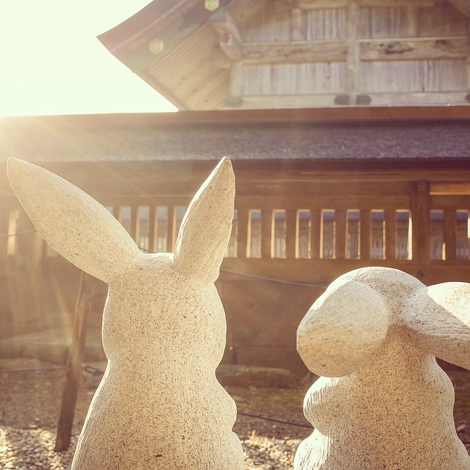 感謝！！開始2日で30％を越えさせて頂きました！！ありがとうございます