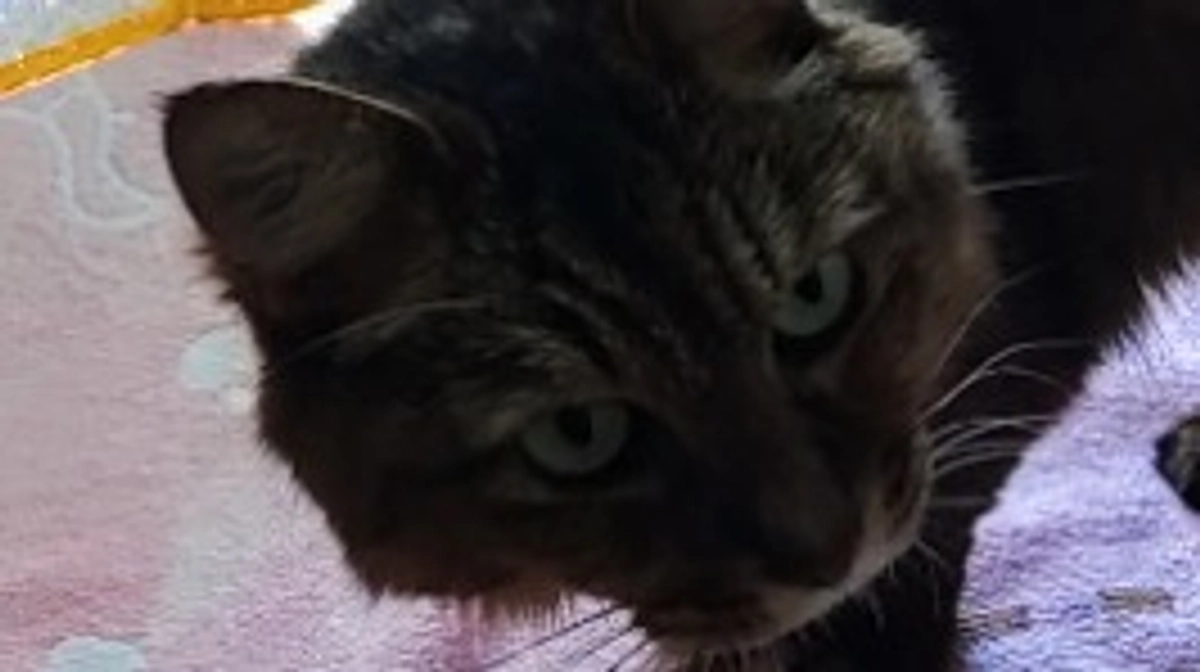 エリの近況報告と御礼・リターン送付の進捗状況の御連絡。