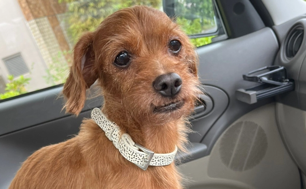 本当にありがとうございます！b