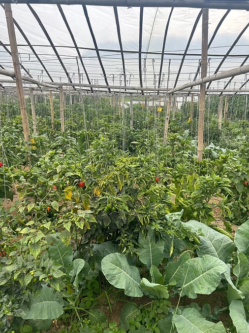 農業訓練について