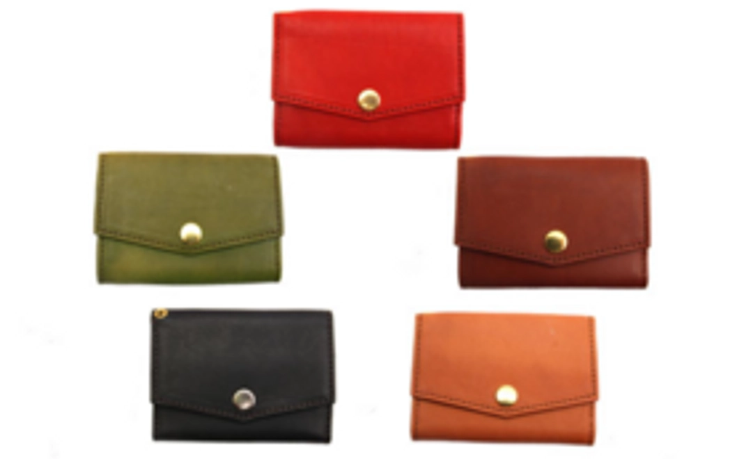 早割10％OFF【100名限定】　petit財布本体のみ