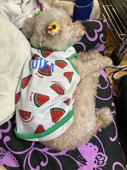 体調不良でした💦