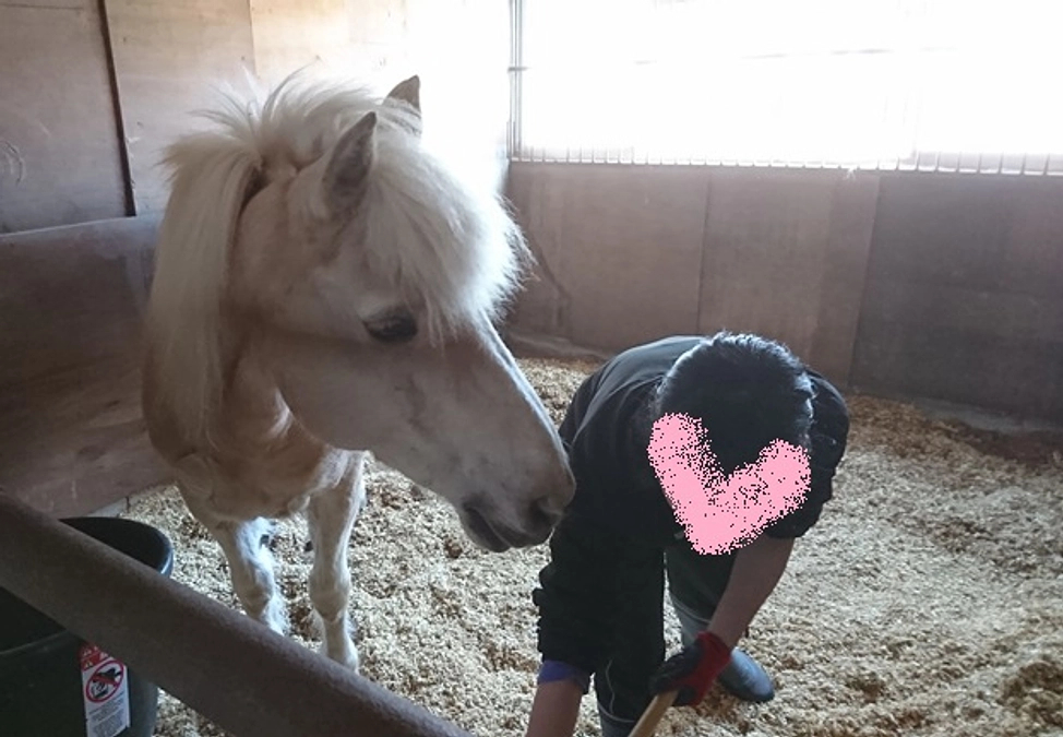 【あと２日！残り85万円！】子供たちと馬のはなし