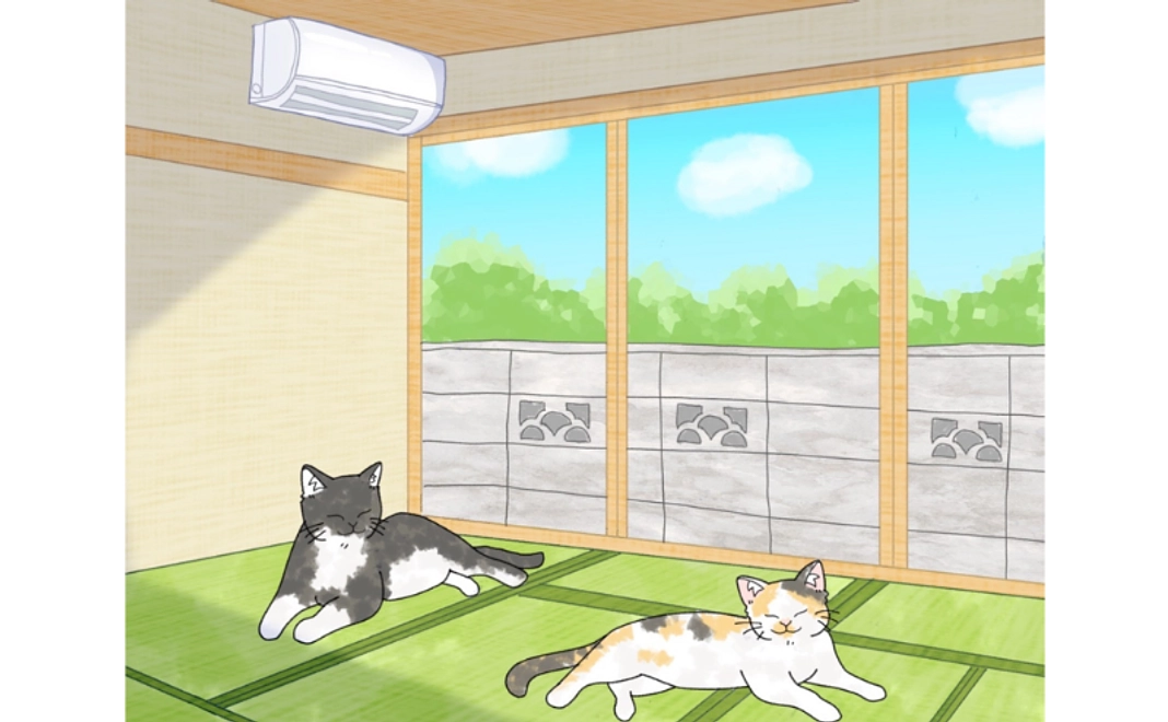 猫カフェご招待｜3,000円