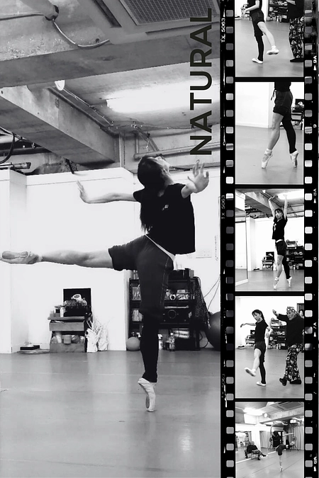 見どころご紹介