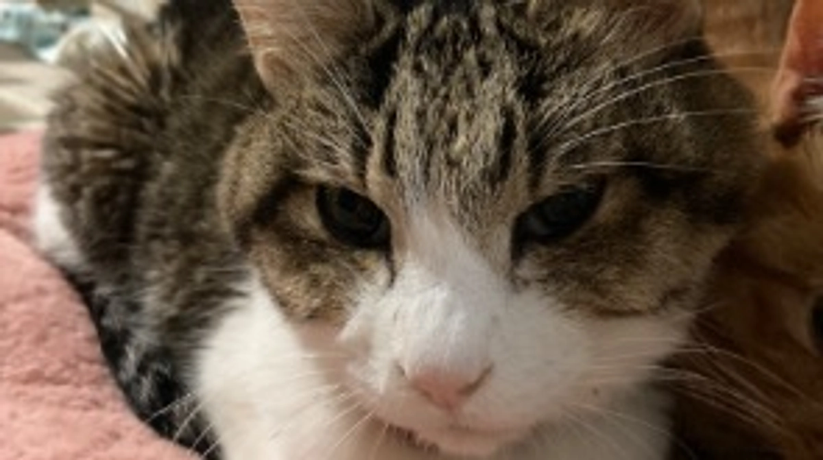 1/13 なかなか更新できずすみません💦