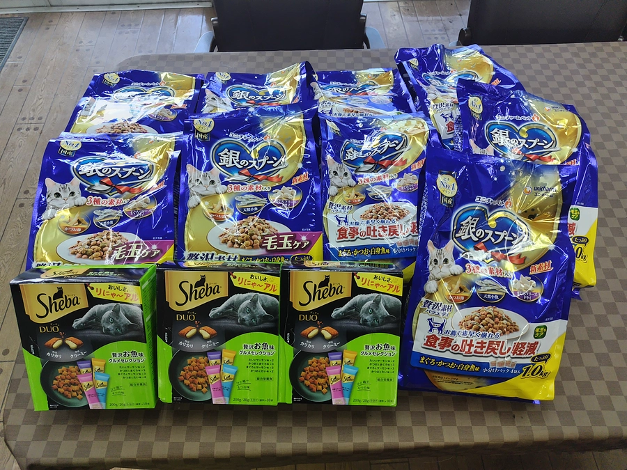 おはようございます😊