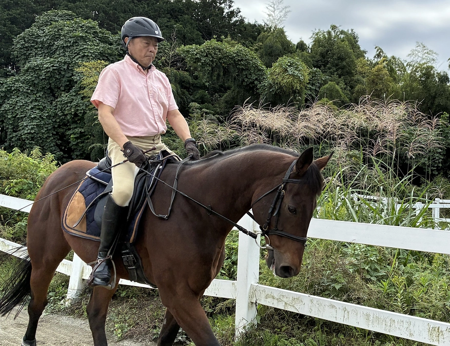 今日もリョーノテソーロの運動に行きました