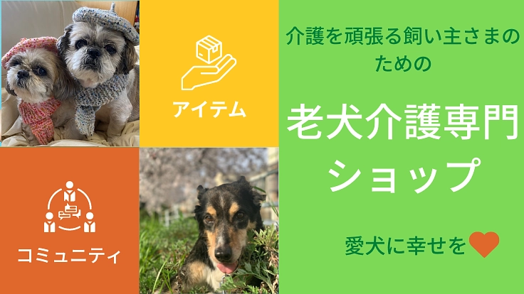 老犬に特化した専門ショップを立ち上げて、老犬介護の知識を広めたい！