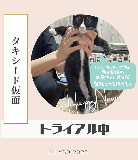 タッキーがトライアルに出ました。