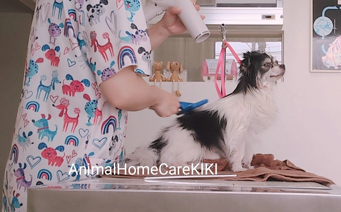 支援者様からの応援メッセージ🎉と私の思い