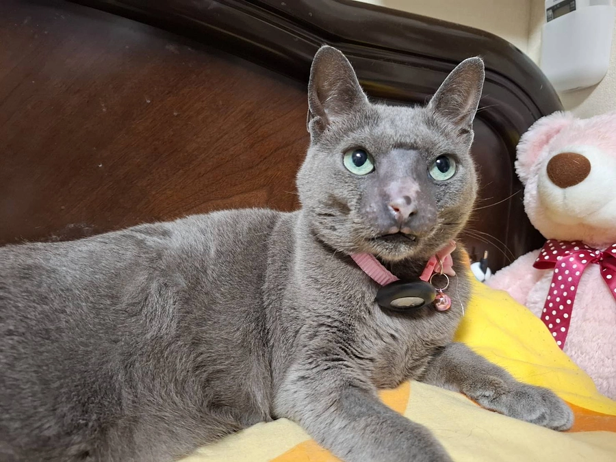 今日から分子標的薬を始めました。