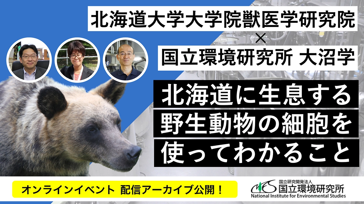 【動画公開】北海道に生息する野生動物の細胞を使ってわかること