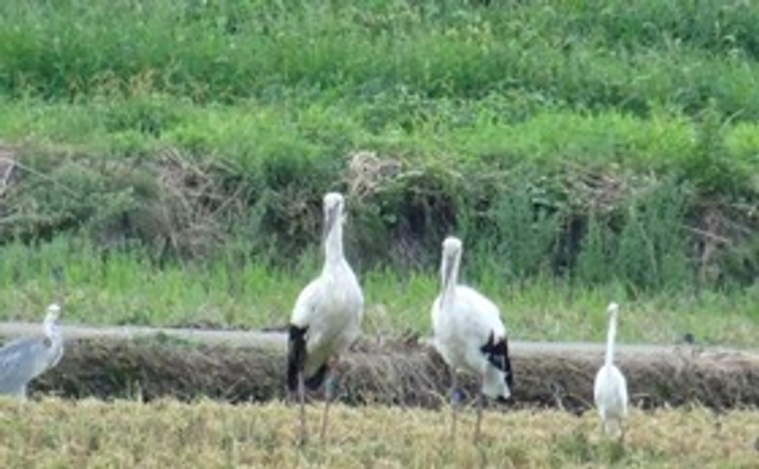 【どなたでも参加可/福井市民可】プロジェクト応援｜5000円