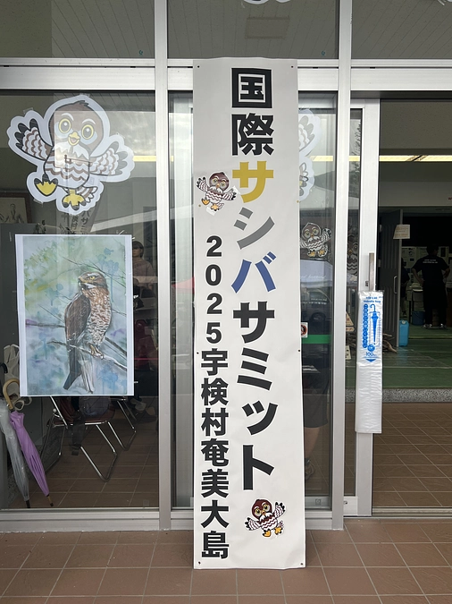 国際サシバサミット開催中！