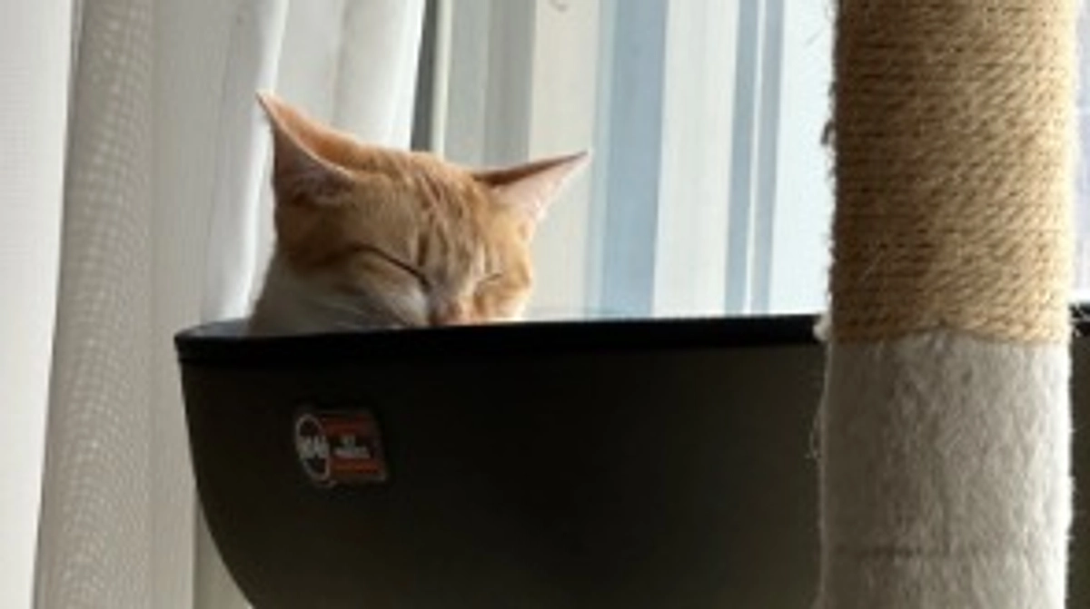 投薬58日目（プロジェクト開始18日目）