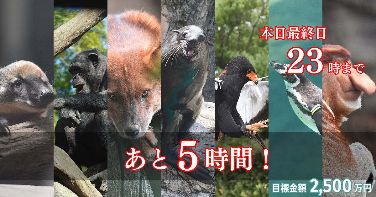 ラストスパートシェア祭りのご協力もお願いします！～プロジェクト終了まで【あと5時間】～