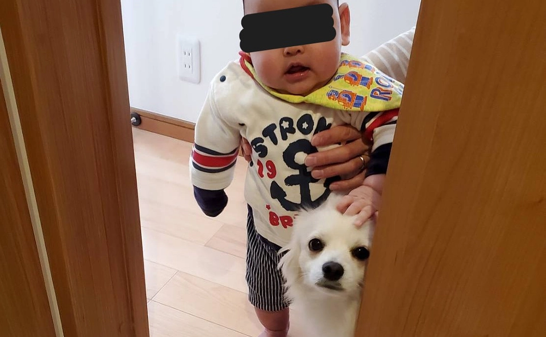 ご支援ありがとうございます(2,000円)