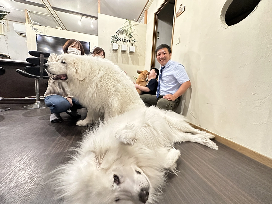 ドッグカフェ”Dag”建設　クラファンご支援の御礼＆感謝