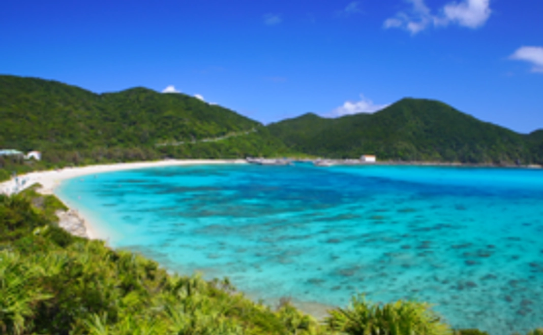 応援ありがとうございます、DVDかBlu-rayをお送りします