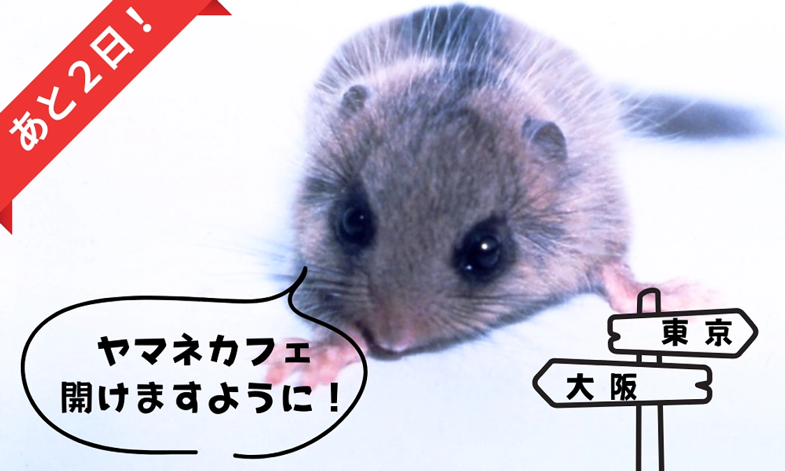 【あと２日！】ネクストゴールまであと42万８千円💌