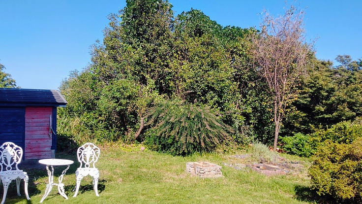 国東半島の自然豊かな丘でみんなが心の洗濯が出来る場所を作りたい!