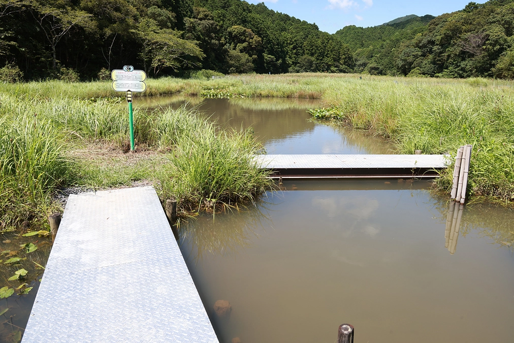 全て完了しました！