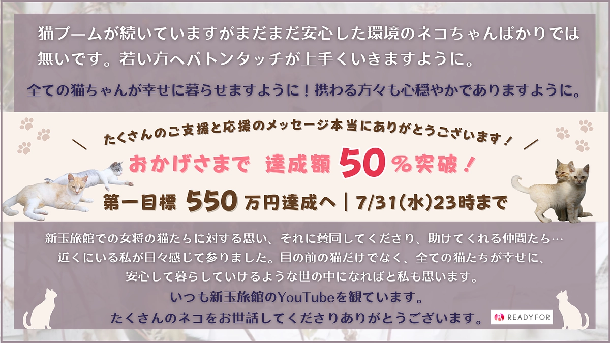 目標額50％達成】たくさんのご支援ありがとうございます！嬉しい応援メッセージのご紹介です！