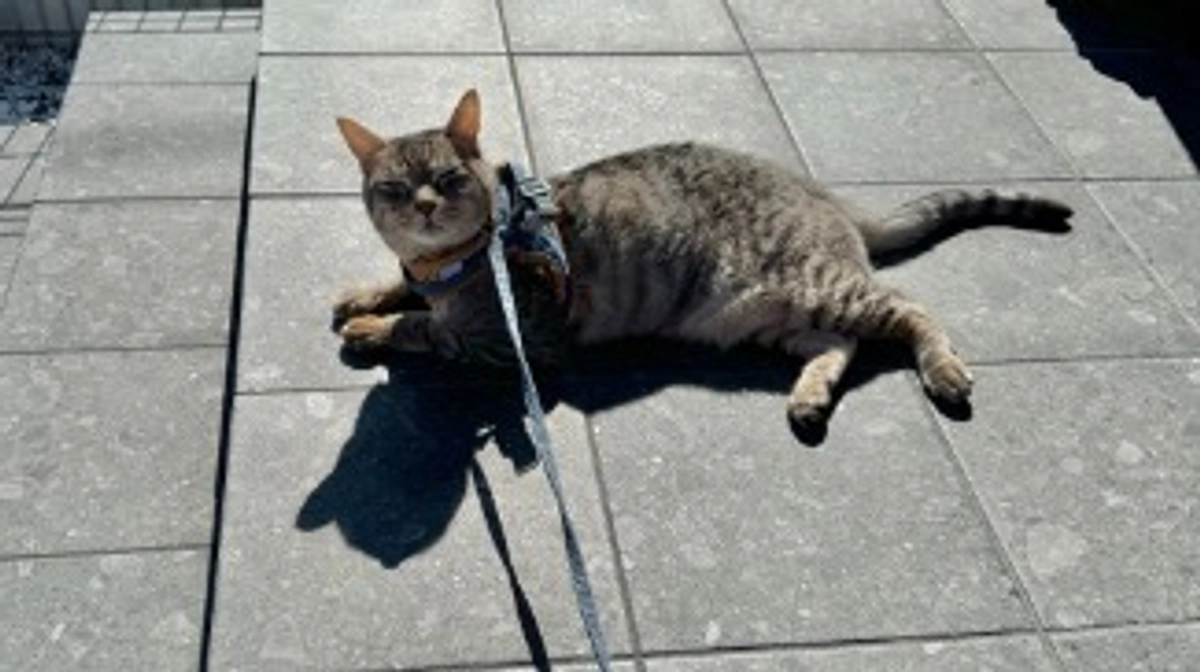 経過報告　11/23