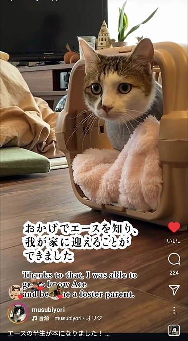 二本足の猫・エースのごきげん日和が発売されます！