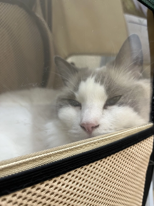 0524 ソラ坊定期検診