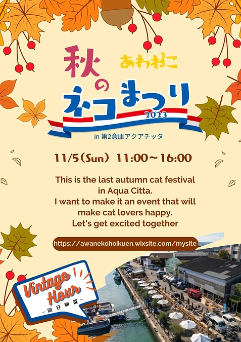 日が変わっていよいよ明日、11/5は秋のネコまつりです！！