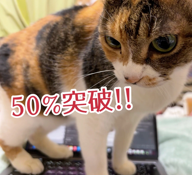 50%突破！！！