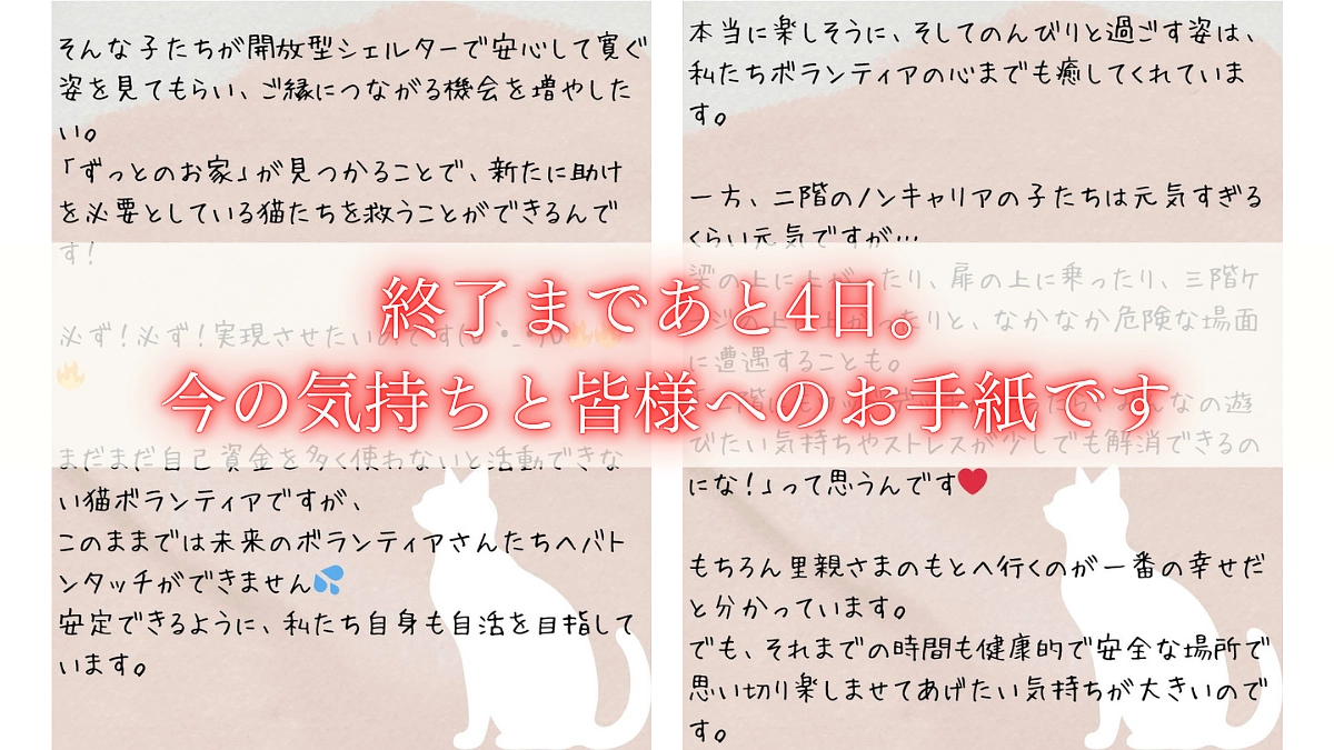 代表より皆様へ。大切な気持ちをお手紙にしました。