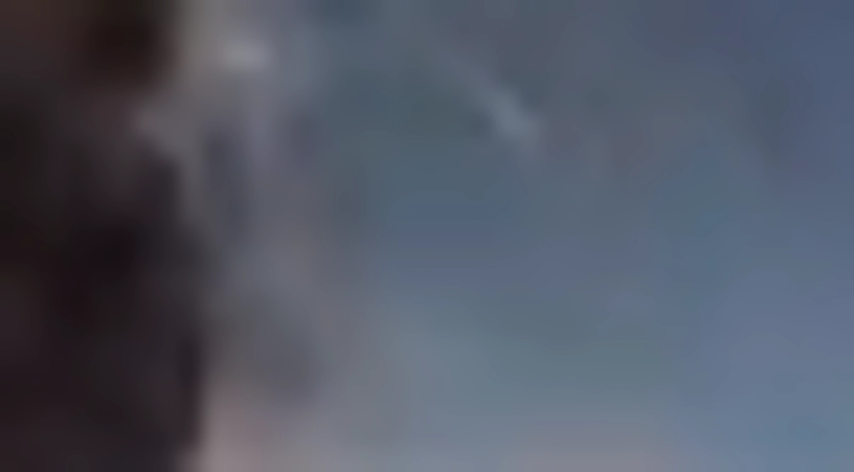 大量のノミに侵された子猫を保護しました、、