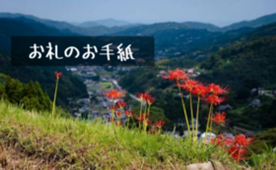 お気持ちコース