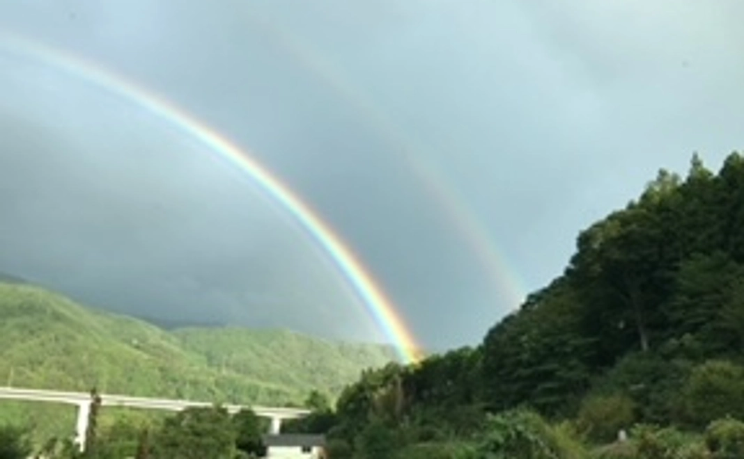 感謝のメール(5,000)