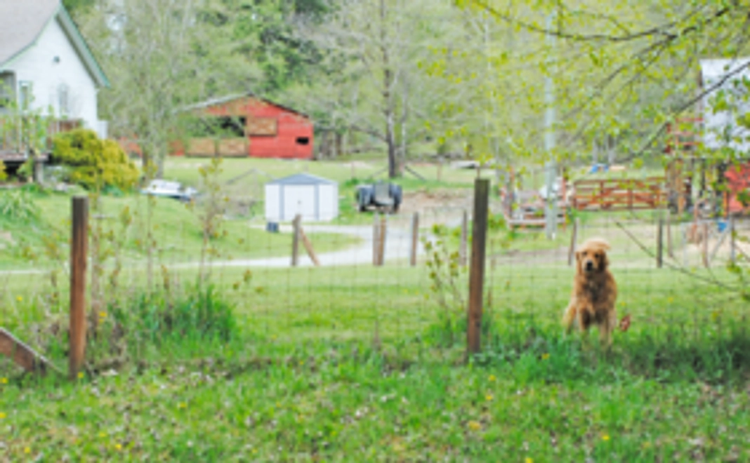 ディスレクシアについて紹介していただけるコース