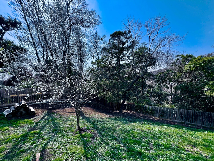 【あと2人で100人到達！】シェルターが運営できているのは近隣住民の皆様のご協力のおかげです。