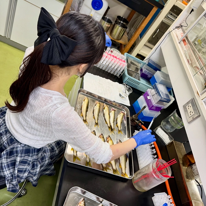 ラボ学生の解剖スピードに驚きました！