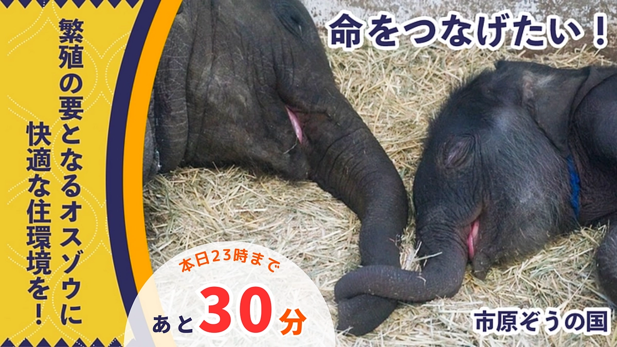 【残り30分】泣いても笑ってもあと30分...