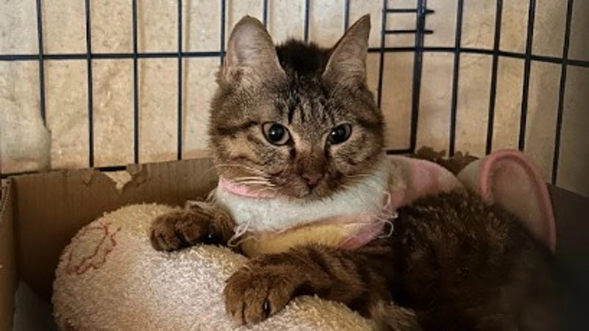 ☆応援に励まされています！